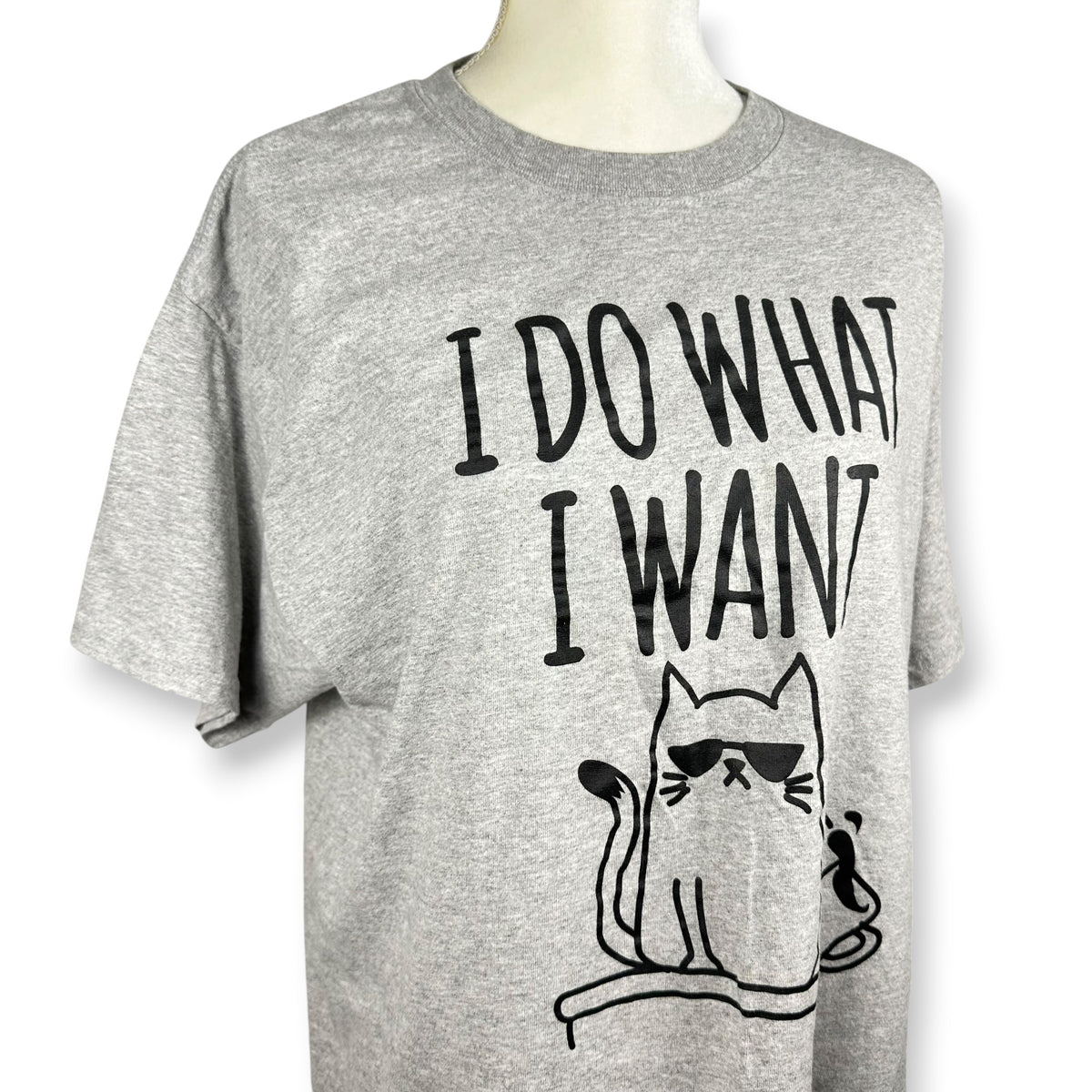 I Do What I Want Cat Mood Tee