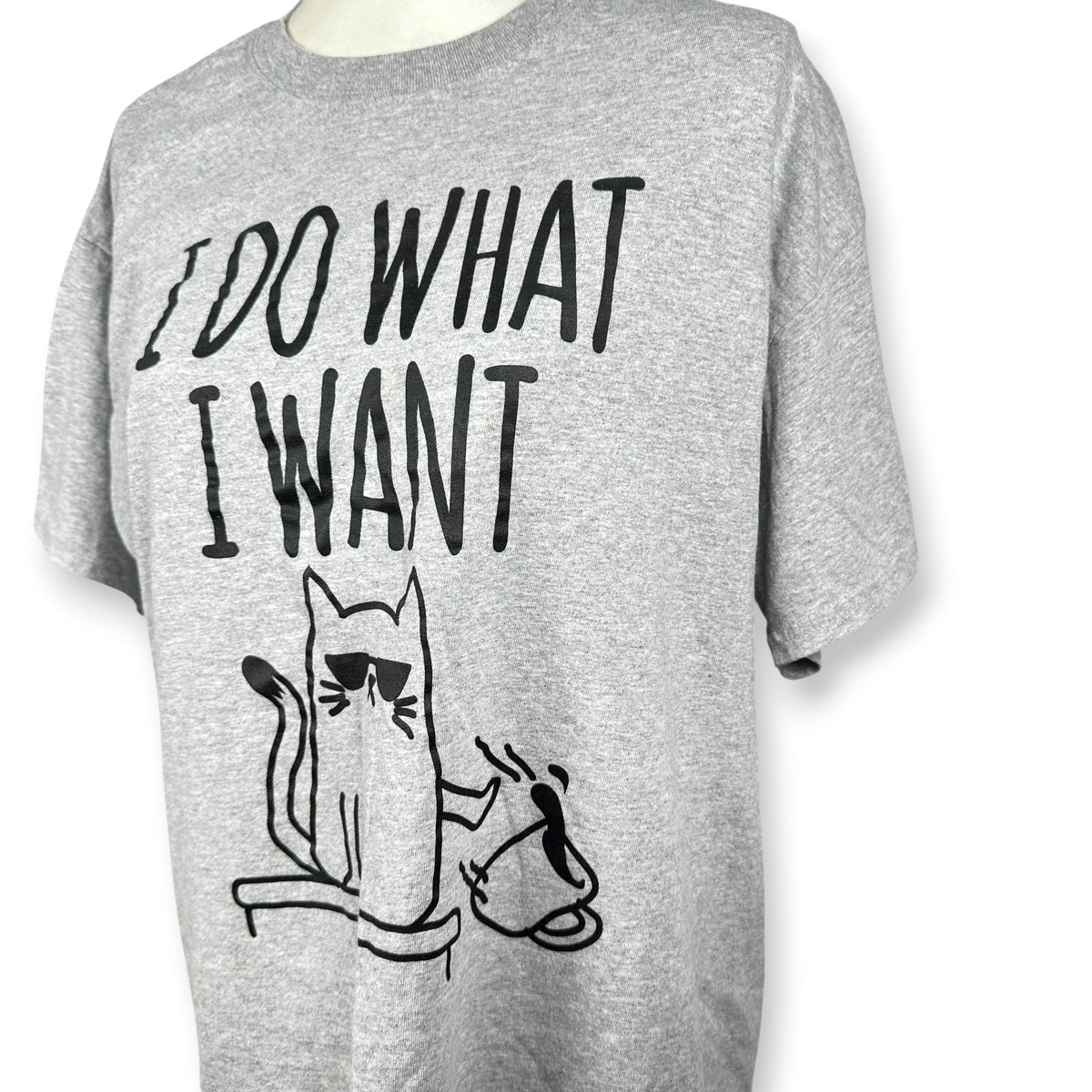 I Do What I Want Cat Mood Tee